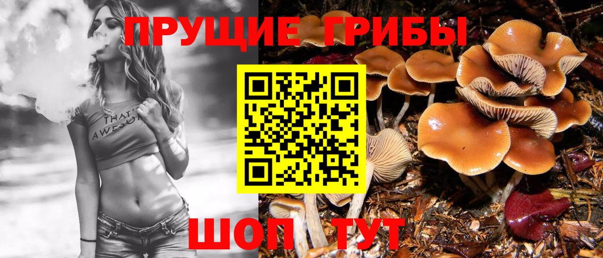 Псилоцибиновые грибы прущие грибы Бутурлиновка
