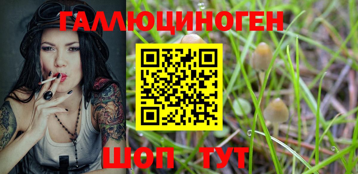 Псилоцибиновые грибы GOLDEN TEACHER  Галлюциногенные грибы мицелий  Бутурлиновка  Вход с VPN 